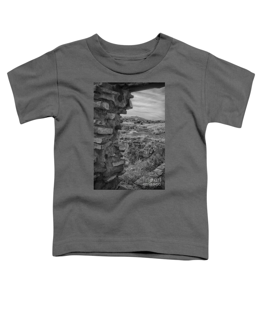 Navajo National Monument Toddler T-Shirt featuring the photograph Ruins-Black and White V4 by Douglas Barnard