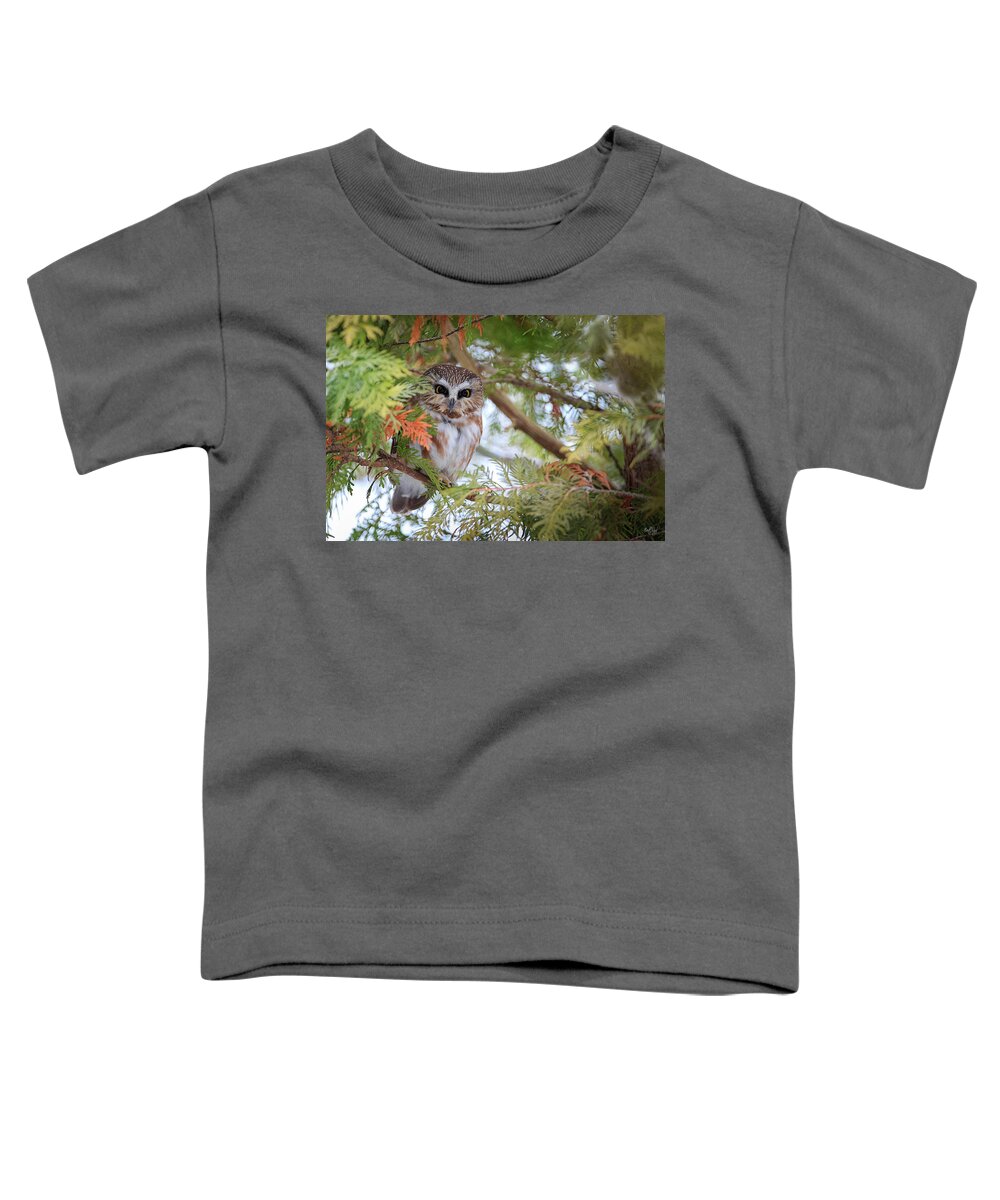 Saw-whet Owl Toddler T-Shirt featuring the photograph Saw-Whet Owl by Everet Regal
