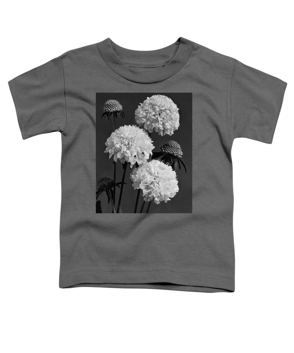 Flowers Toddler T-Shirt featuring the photograph Scabiosa Peace Flowers by J. Horace McFarland