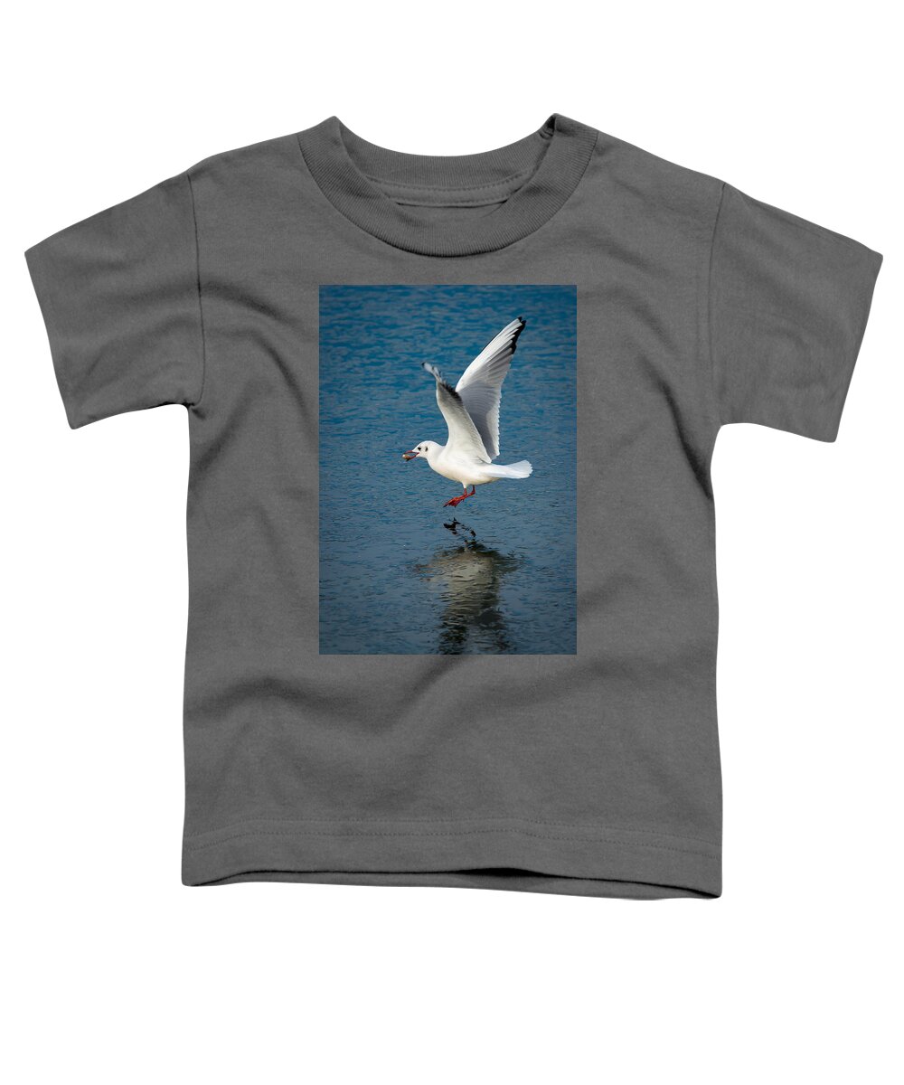 Seagull Toddler T-Shirt featuring the photograph Seagull With Stone Above Frozen Lake by Andreas Berthold