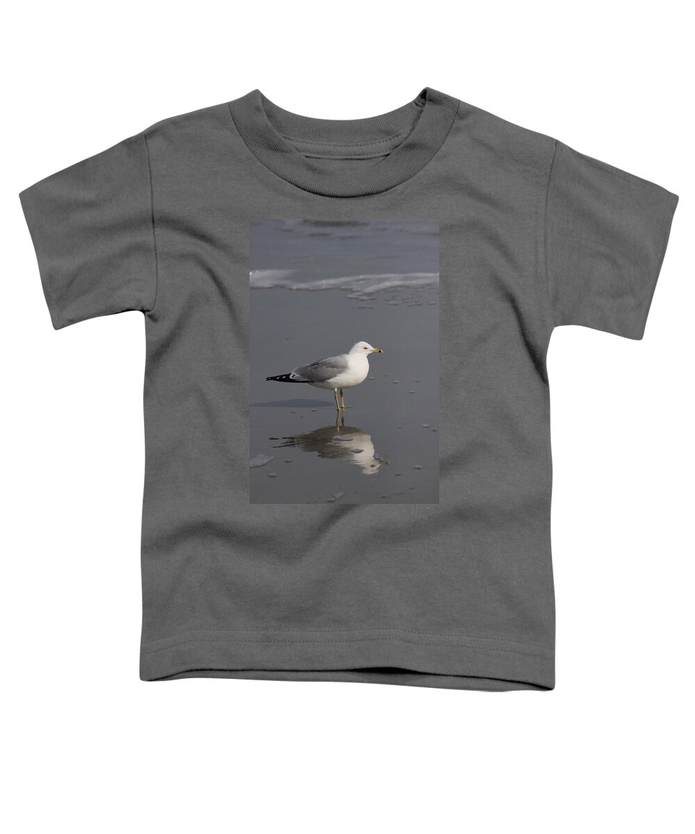 Bird Toddler T-Shirt featuring the photograph Seaside sentinel by Carolyn Jacob