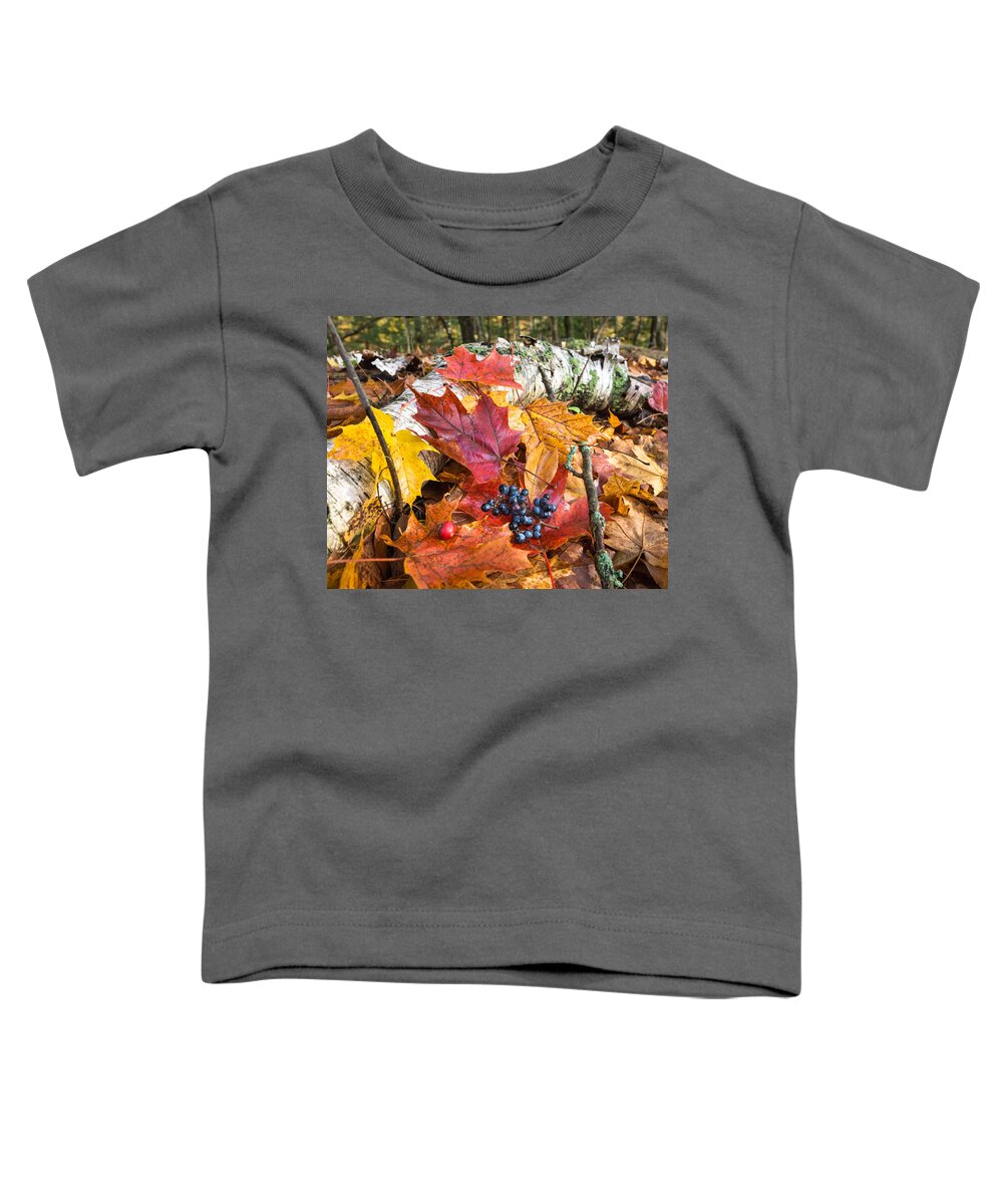 Fall Toddler T-Shirt featuring the photograph Season Finale by Bill Pevlor