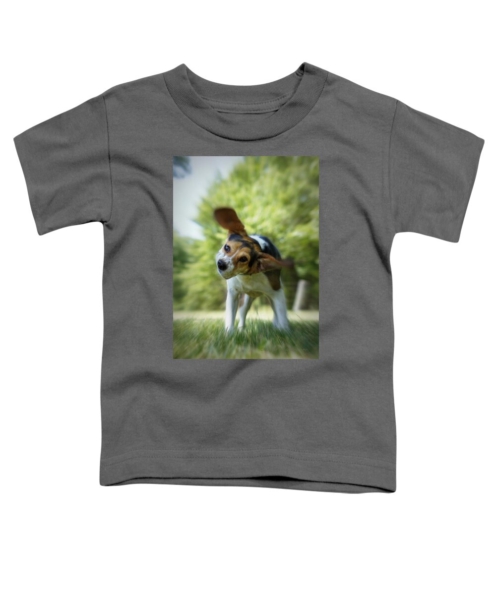 Beagle Toddler T-Shirt featuring the photograph Shake Shake Shake by Cricket Hackmann