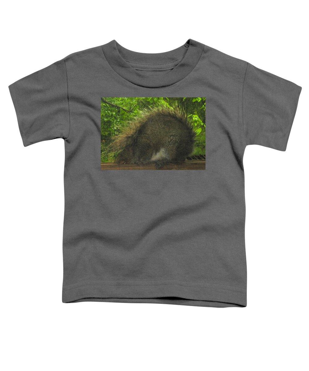  Toddler T-Shirt featuring the photograph Shy Punk Squirrel by R Allen Swezey