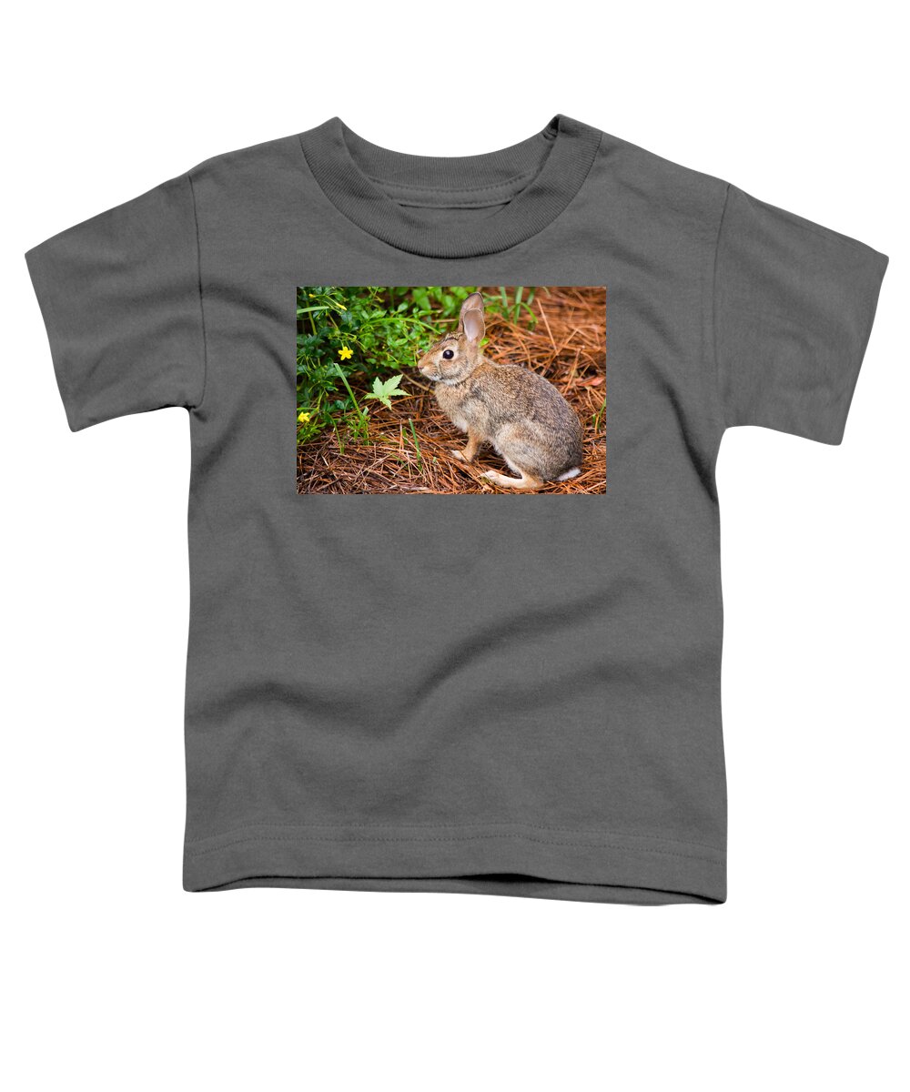 Wild Toddler T-Shirt featuring the photograph Smelling the Flowers by Parker Cunningham