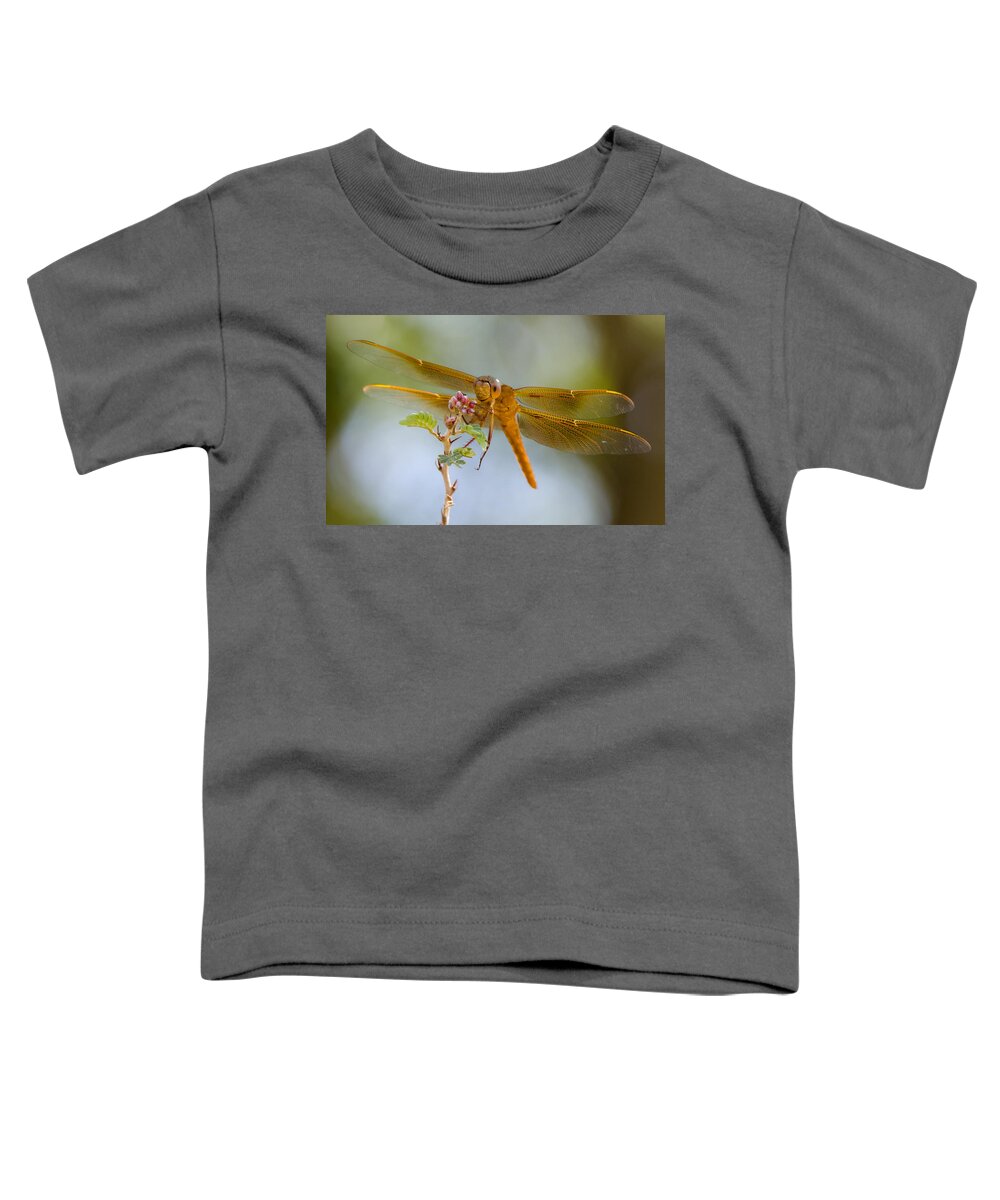 Red Dragonfly Toddler T-Shirt featuring the photograph Smile and Be Happy by Saija Lehtonen