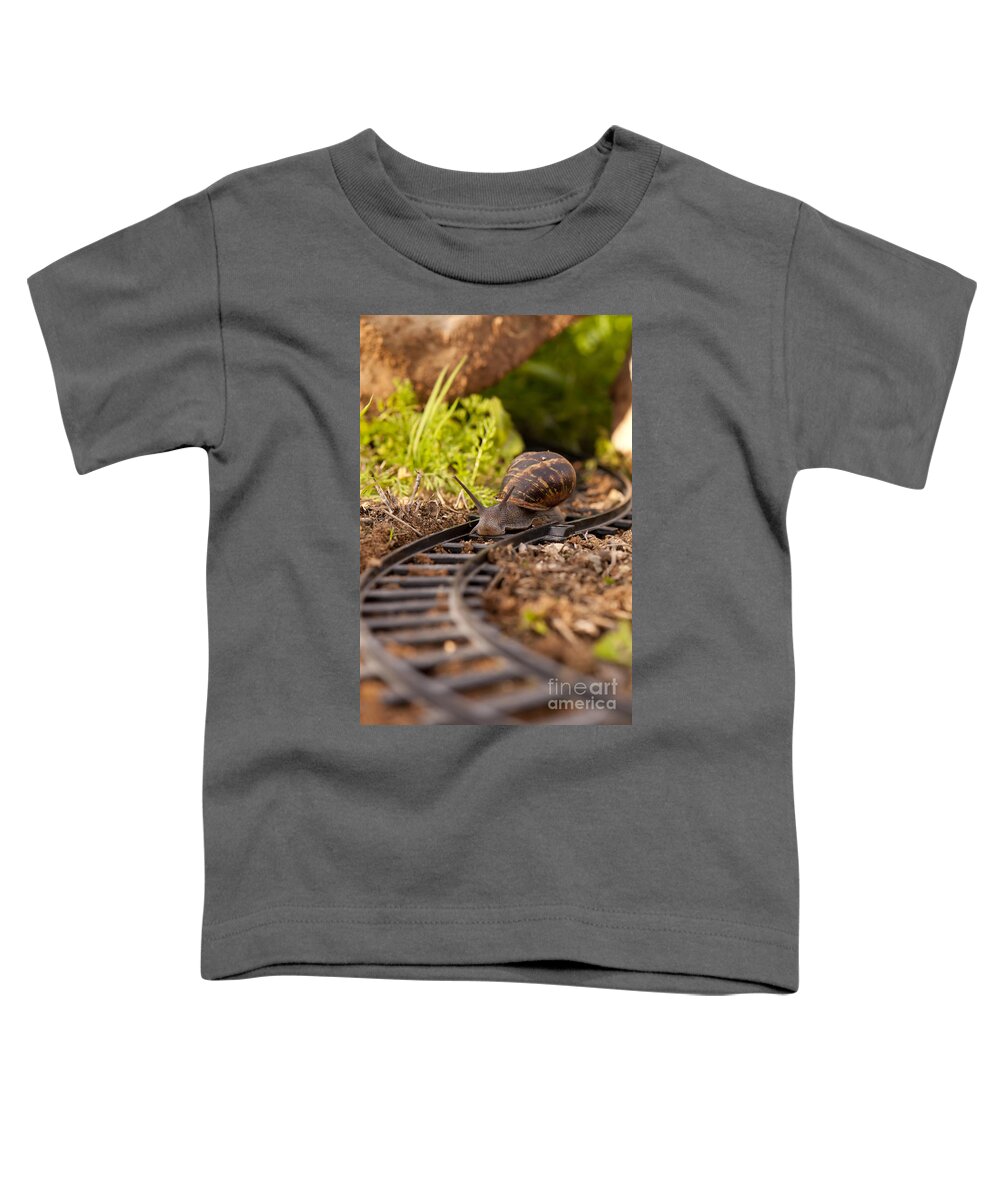 Slowness Toddler T-Shirt featuring the photograph Snail on train tracks by Guy Viner