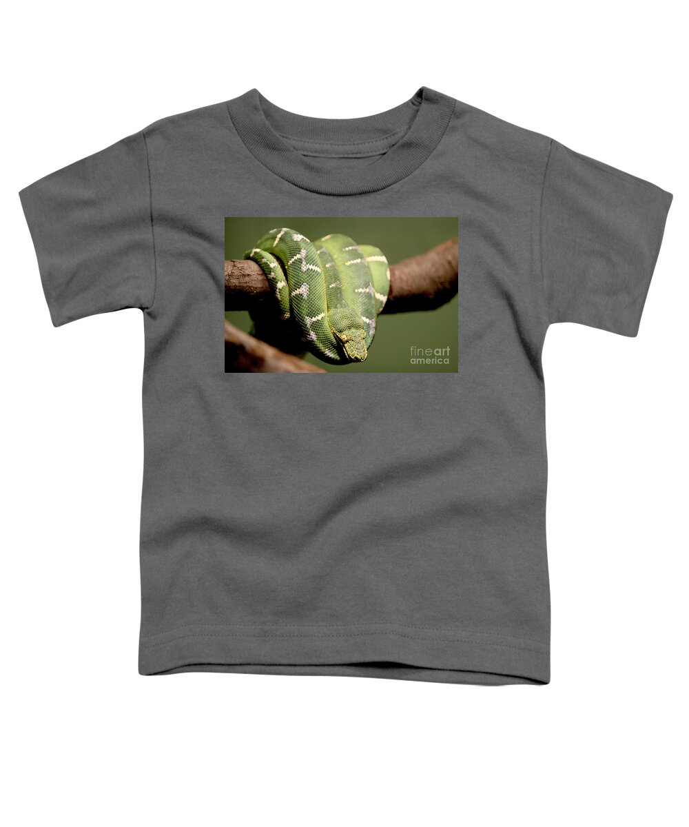 Bronx Zoo Toddler T-Shirt featuring the photograph Snake Eyes by Rick Kuperberg Sr