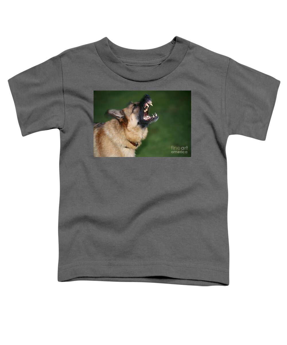 German Shepherd Toddler T-Shirt featuring the photograph Snarling German Shepherd Dog by John Daniels