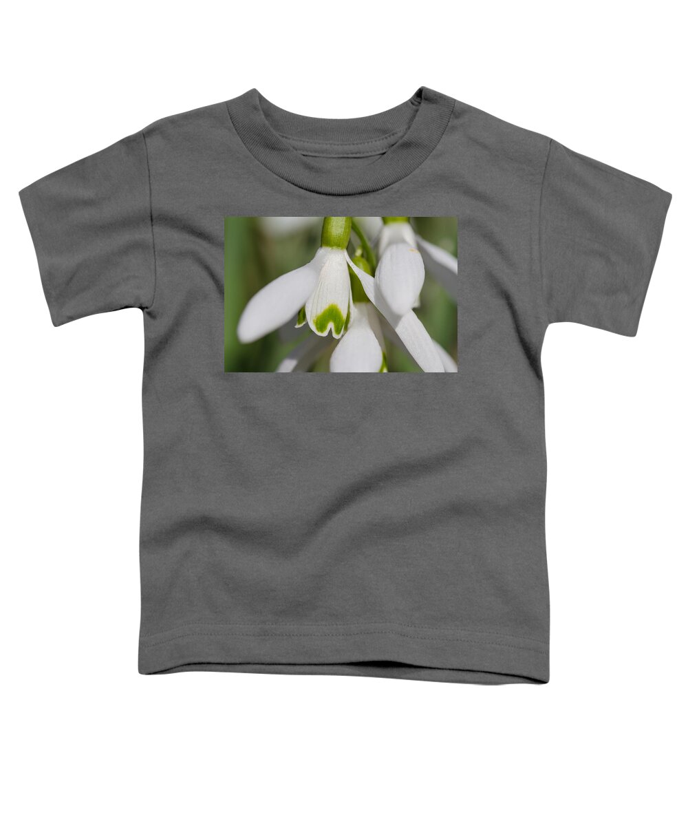 Snowdrops Toddler T-Shirt featuring the photograph Snowdrops by Andreas Levi