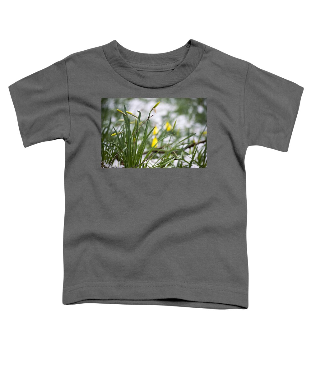 Daffodils Toddler T-Shirt featuring the photograph Snowy Daffodils by Spikey Mouse Photography