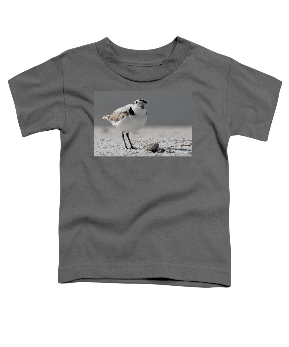 Snowy Plover Toddler T-Shirt featuring the photograph Snowy Plover by Meg Rousher