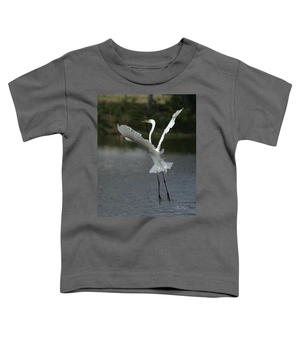 susan Molnar Toddler T-Shirt featuring the photograph So You Think You Can Dance by Susan Molnar