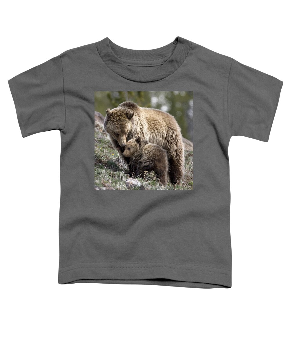 Grizzly Bears Toddler T-Shirt featuring the photograph Someone To Watch Over Me by Max Waugh