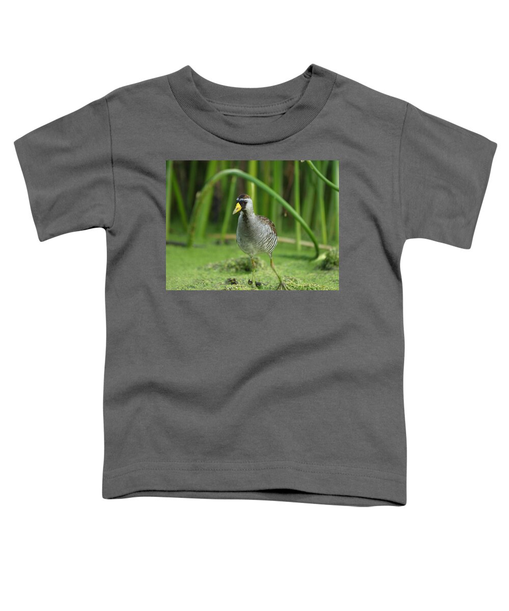 Peterson Nature Photography Toddler T-Shirt featuring the photograph Sora Motion Portrait by James Peterson