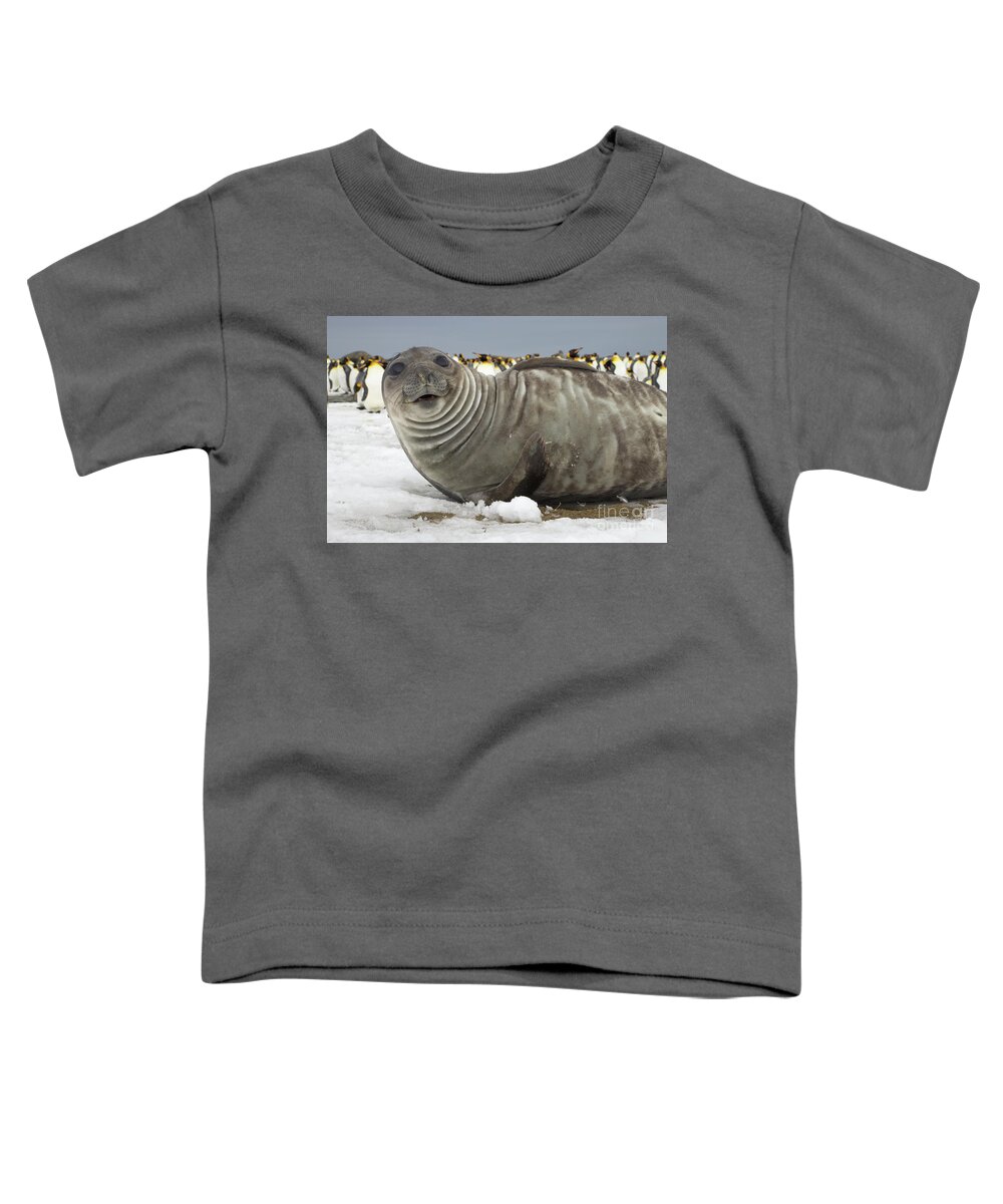 00345927 Toddler T-Shirt featuring the photograph Southern Elephant Seal Weaner by Yva Momatiuk John Eastcott