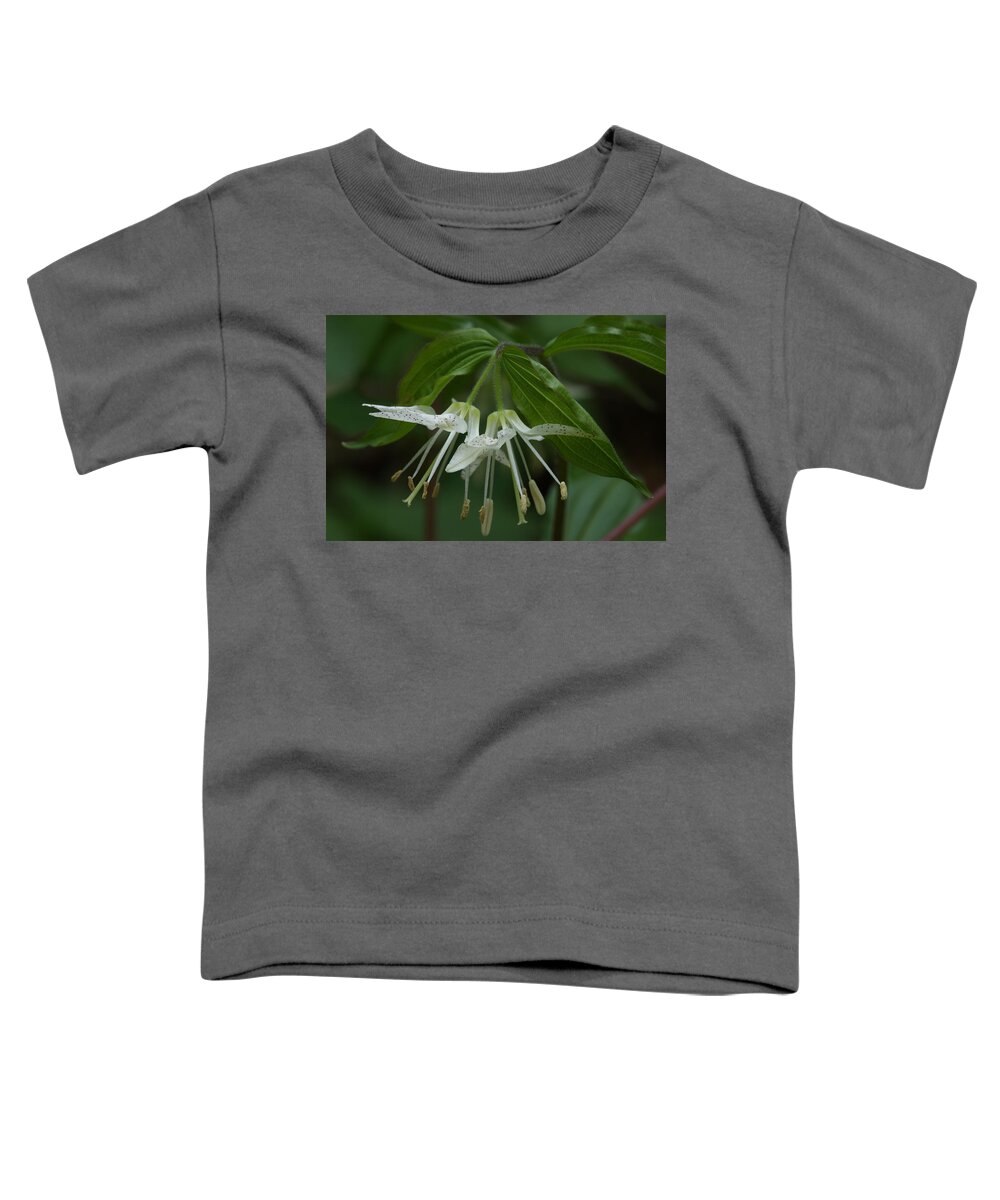 Spotted Mandrin Toddler T-Shirt featuring the photograph Spotted Mandrin . Disporum maculatum by Daniel Reed