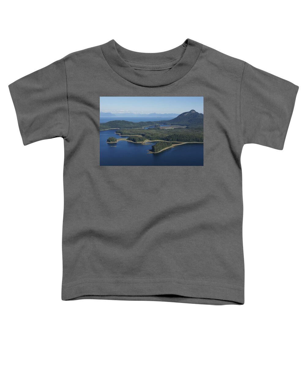 530679 Toddler T-Shirt featuring the photograph Spruce Forest Alaska by Hiroya Minakuchi