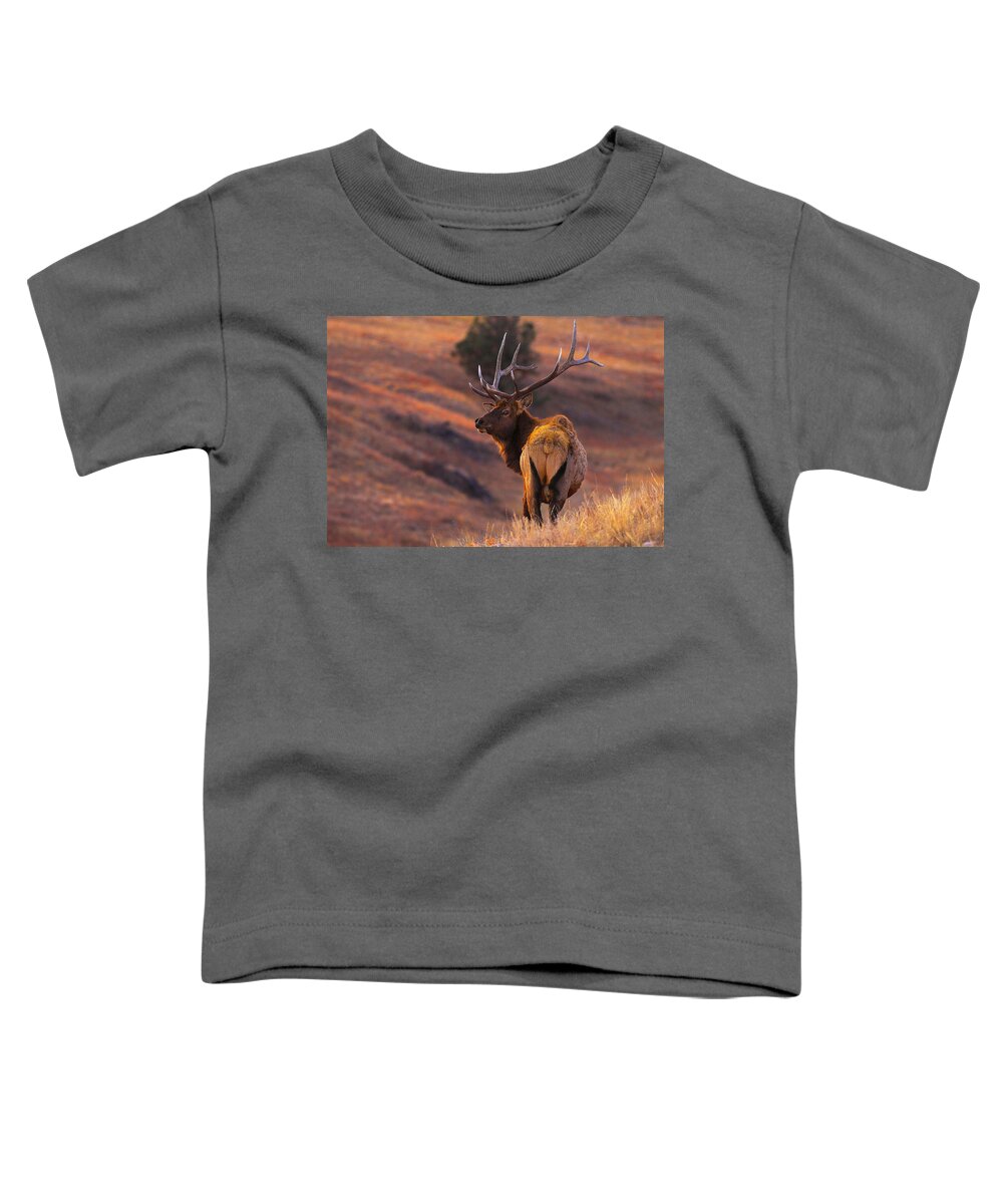 Animal Toddler T-Shirt featuring the photograph Stand Alone by Kadek Susanto