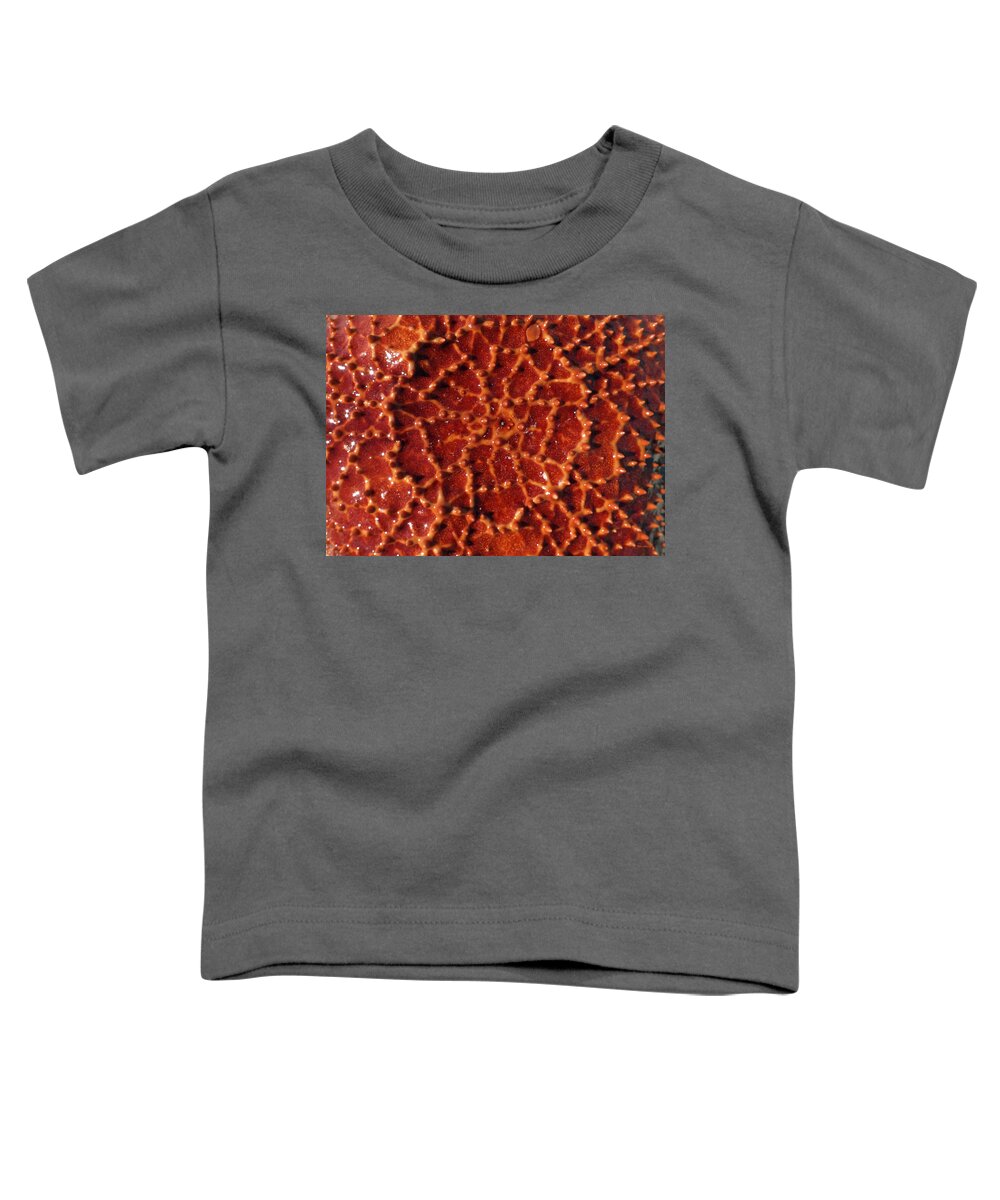 Duane Mccullough Toddler T-Shirt featuring the photograph Starfish Upclose Abstract by Duane McCullough
