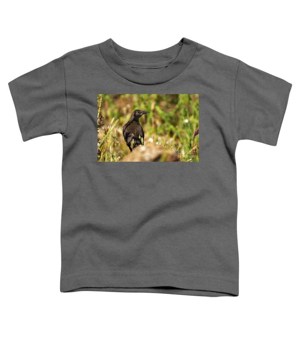 Birds Toddler T-Shirt featuring the photograph Starling by Guido Montanes Castillo