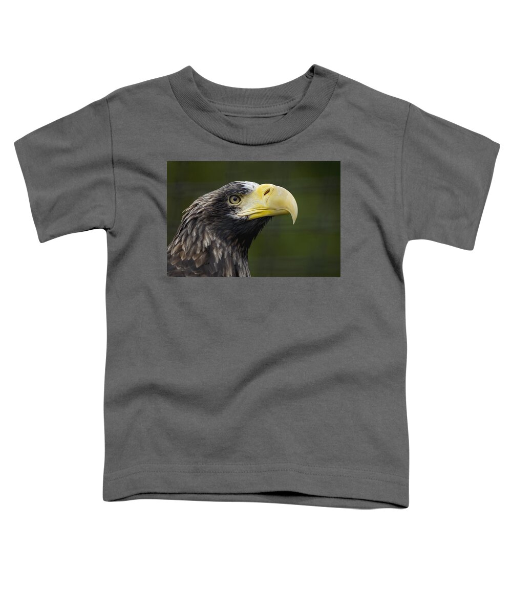 534546 Toddler T-Shirt featuring the photograph Stellers Sea Eagle Profile by Zssd