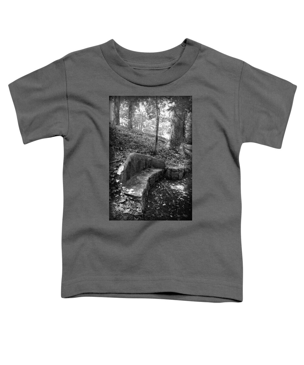 Kelly Hazel Toddler T-Shirt featuring the photograph Stone Bench by Kelly Hazel