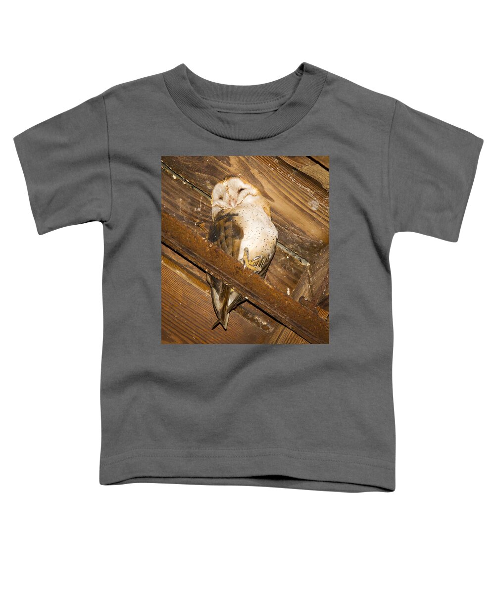 Owl Toddler T-Shirt featuring the photograph Stop bothering me by Jean Noren