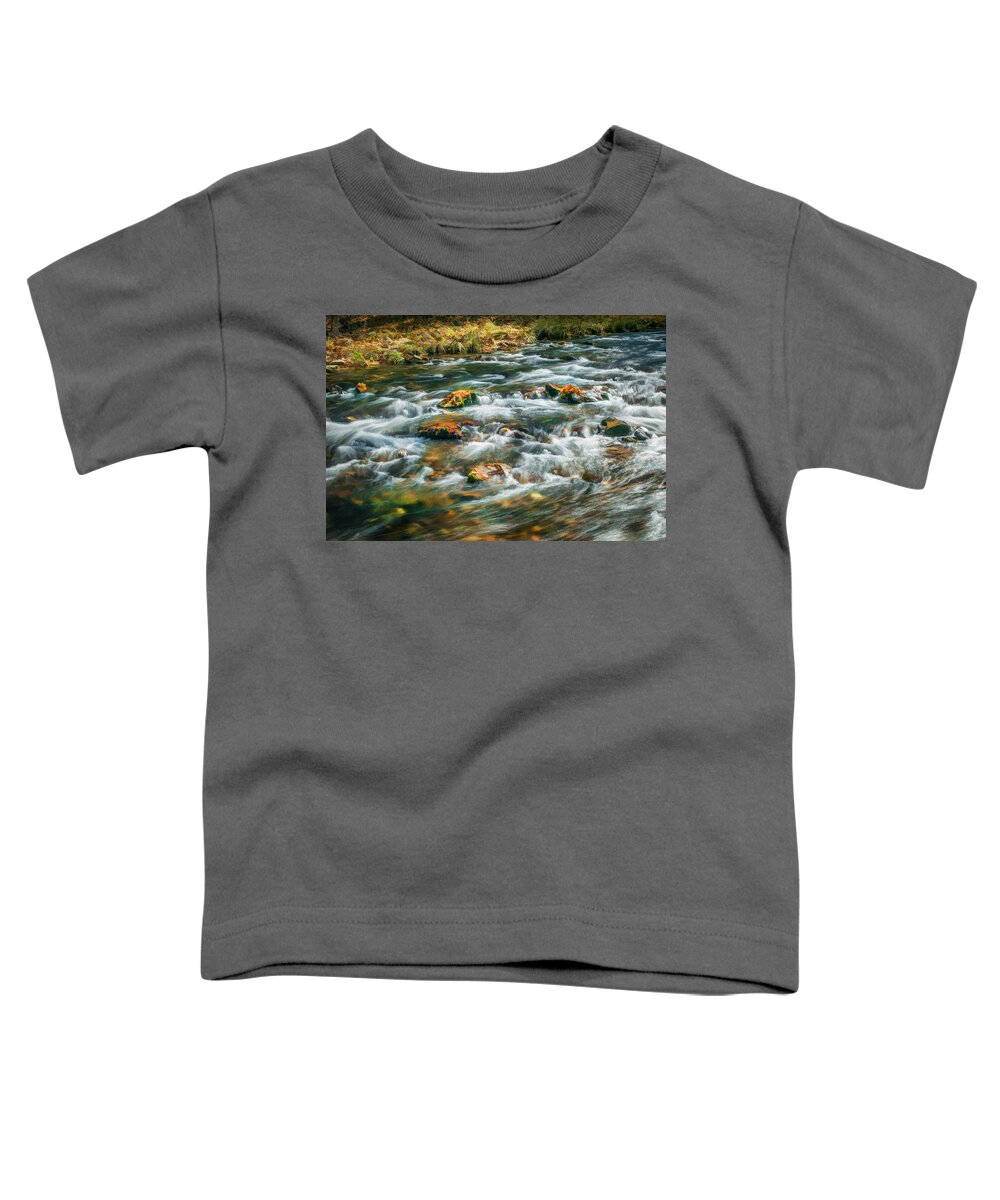 Stream Toddler T-Shirt featuring the photograph Stream Fall Colors Great Smoky Mountains Painted by Rich Franco