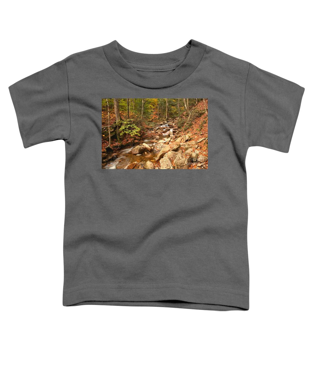 Franconia Notch Toddler T-Shirt featuring the photograph Streaming Through Franconia Notch by Adam Jewell