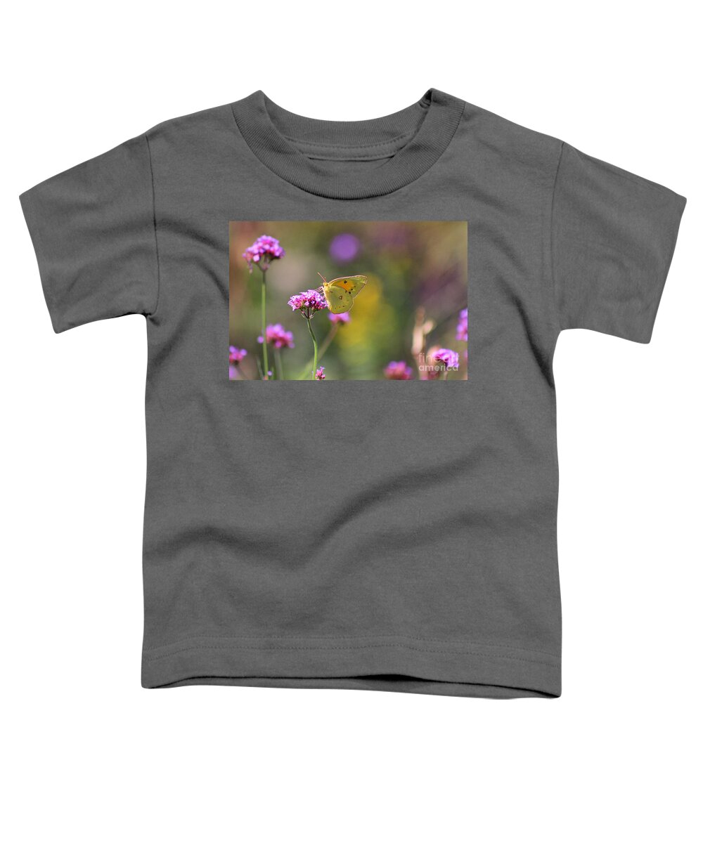 Lepidoptera Toddler T-Shirt featuring the photograph Sulphur Butterfly on Verbena Flower by Karen Adams
