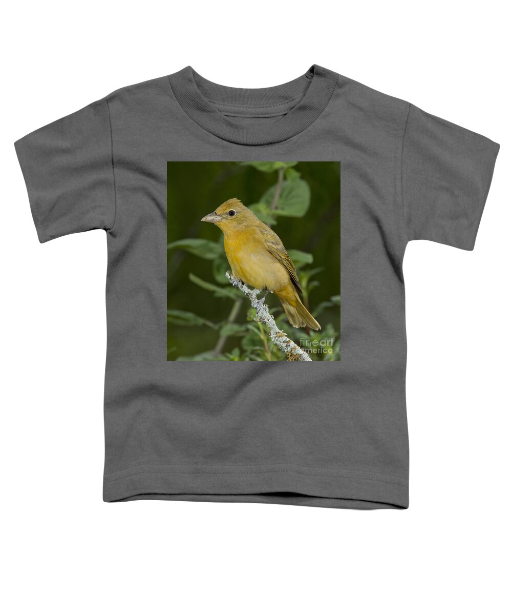Summer Tanager Toddler T-Shirt featuring the photograph Summer Tanager Hen by Anthony Mercieca