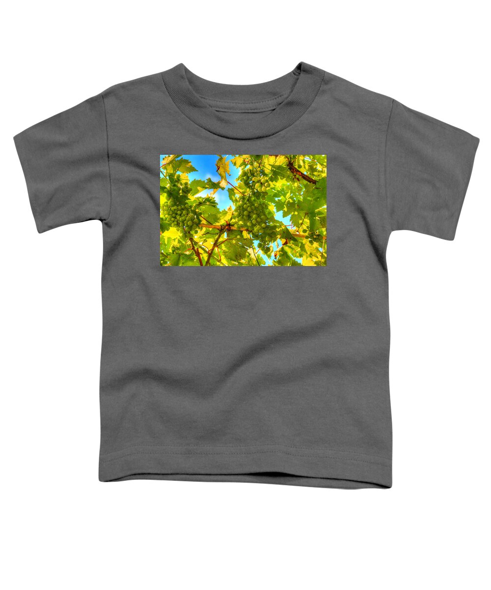 Growth Toddler T-Shirt featuring the photograph Sun kissed green grapes by Eti Reid