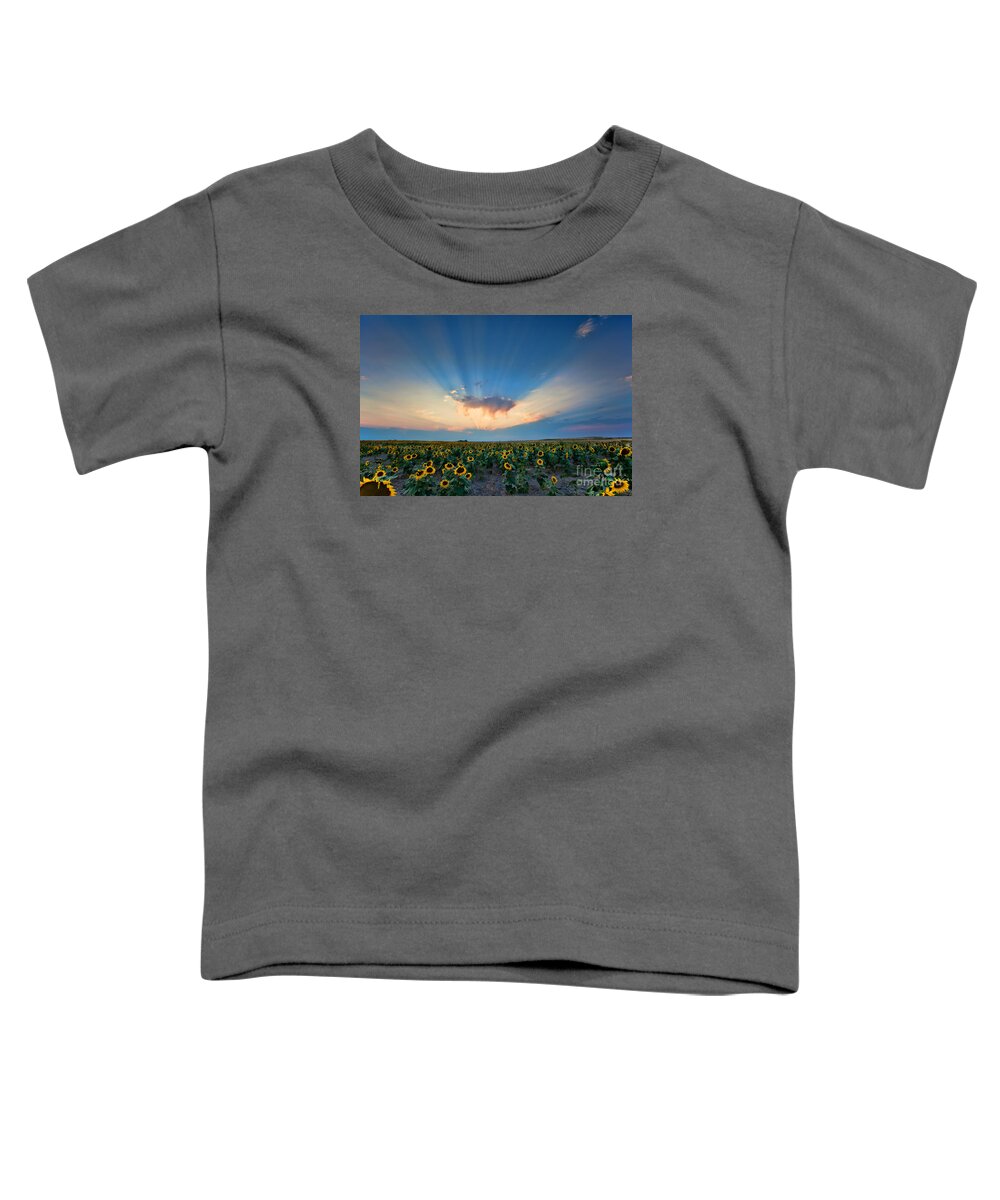 Flowers Toddler T-Shirt featuring the photograph Sunflower Field at Sunset by Jim Garrison