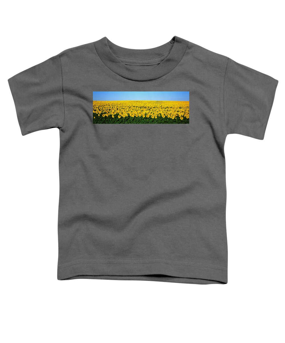 Photography Toddler T-Shirt featuring the photograph Sunflower Field, North Dakota, Usa by Panoramic Images