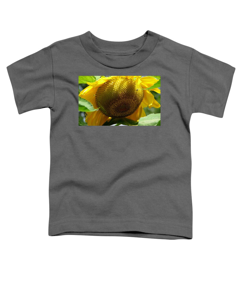 Sunflowers Toddler T-Shirt featuring the photograph Sunflower Seed head Macro by Rose Santuci-Sofranko