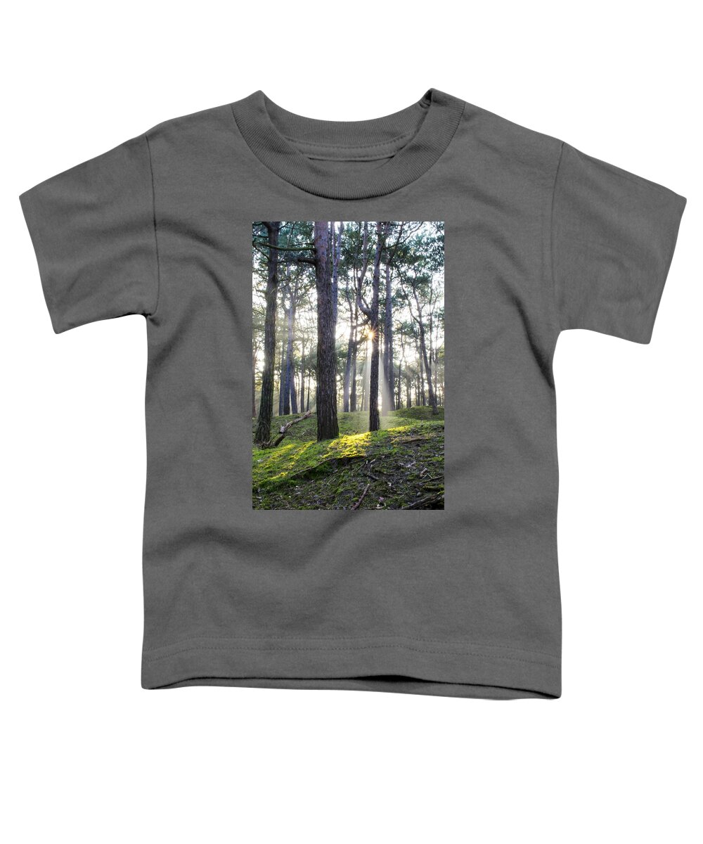 Trees Toddler T-Shirt featuring the photograph Sunlit Trees by Spikey Mouse Photography