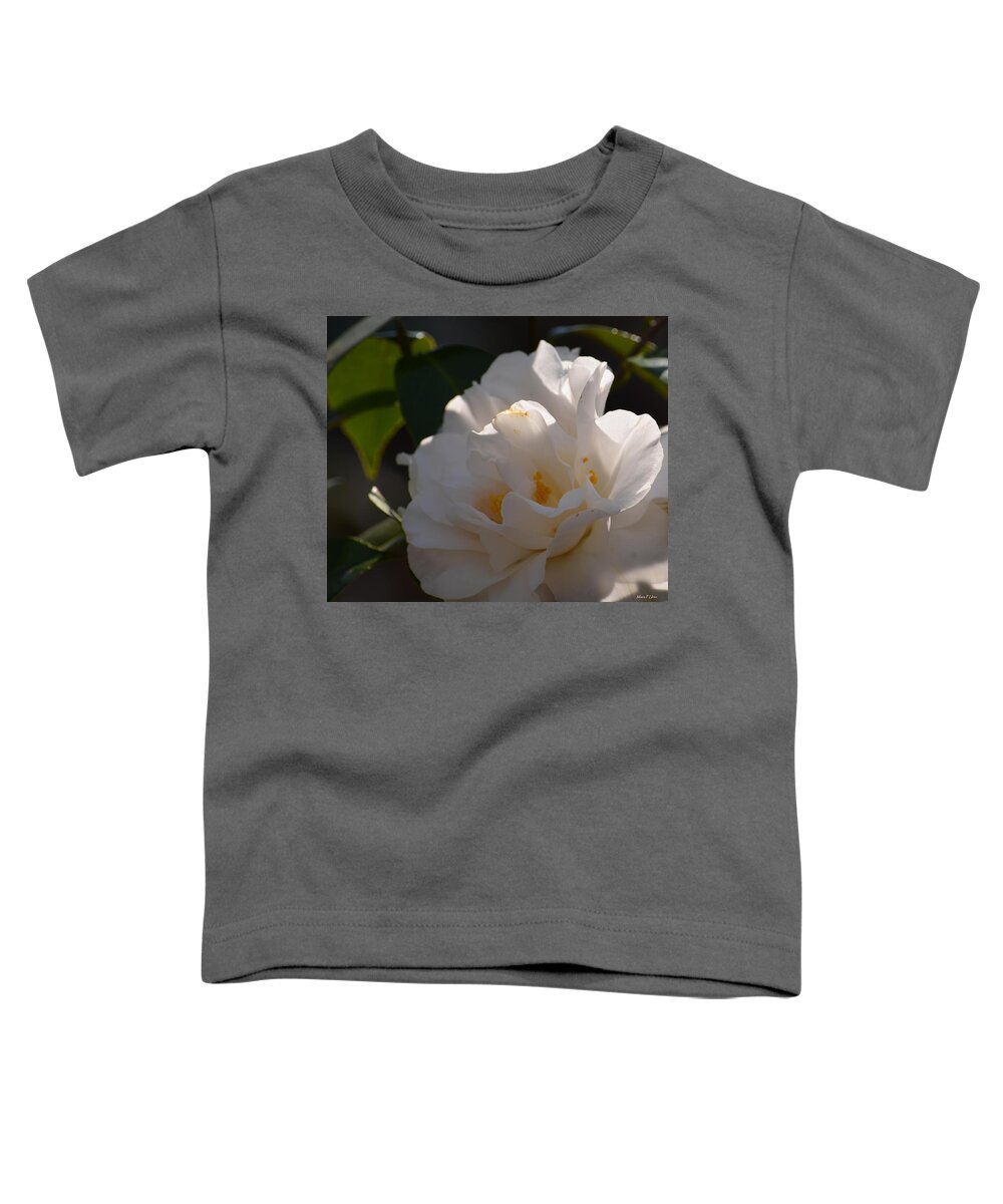 Sunlit White Camelia 2013 Toddler T-Shirt featuring the photograph Sunlit White Camelia 2013 by Maria Urso