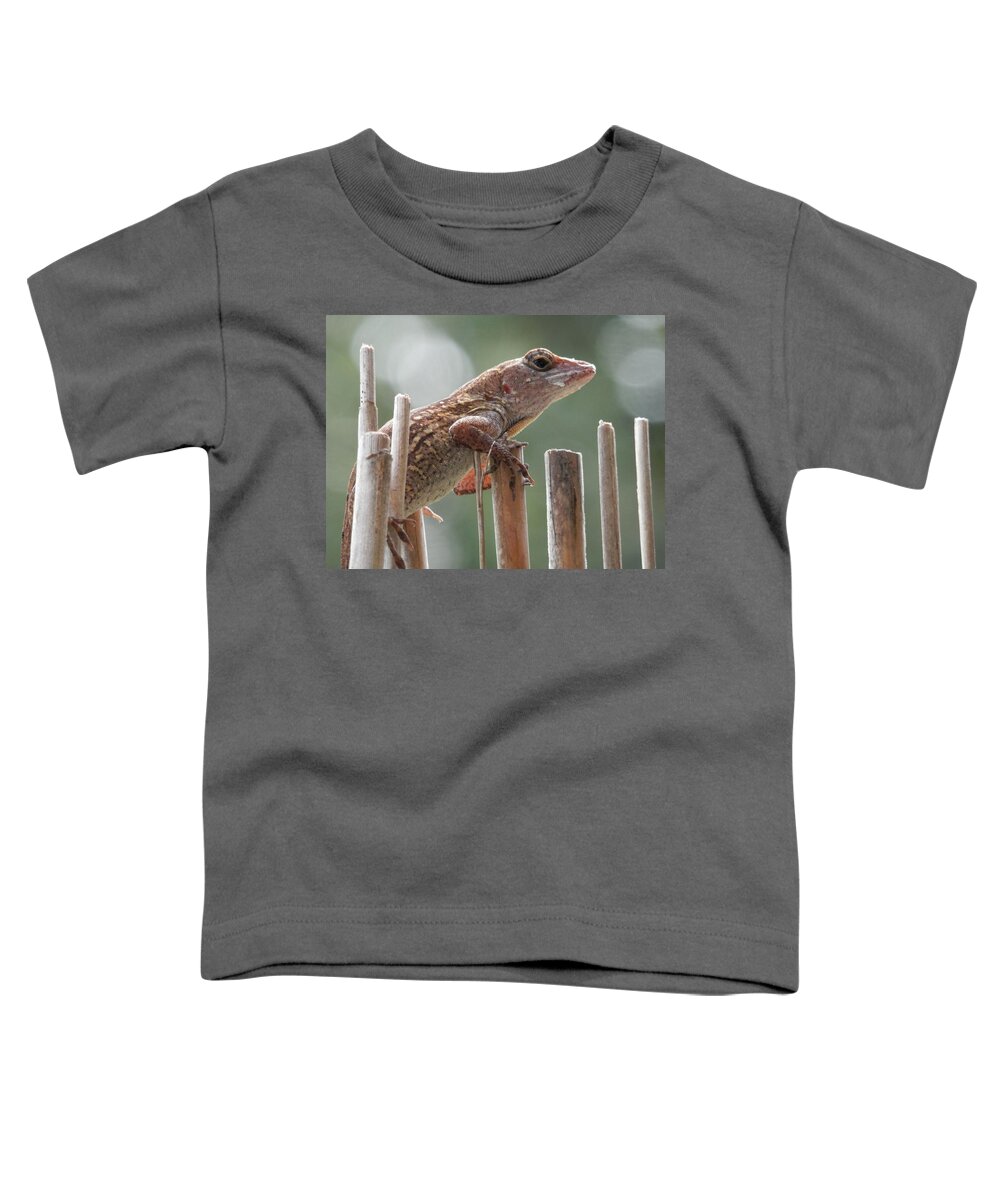 Caught The Lizard Toddler T-Shirt featuring the photograph Sunning Lizard by Belinda Lee