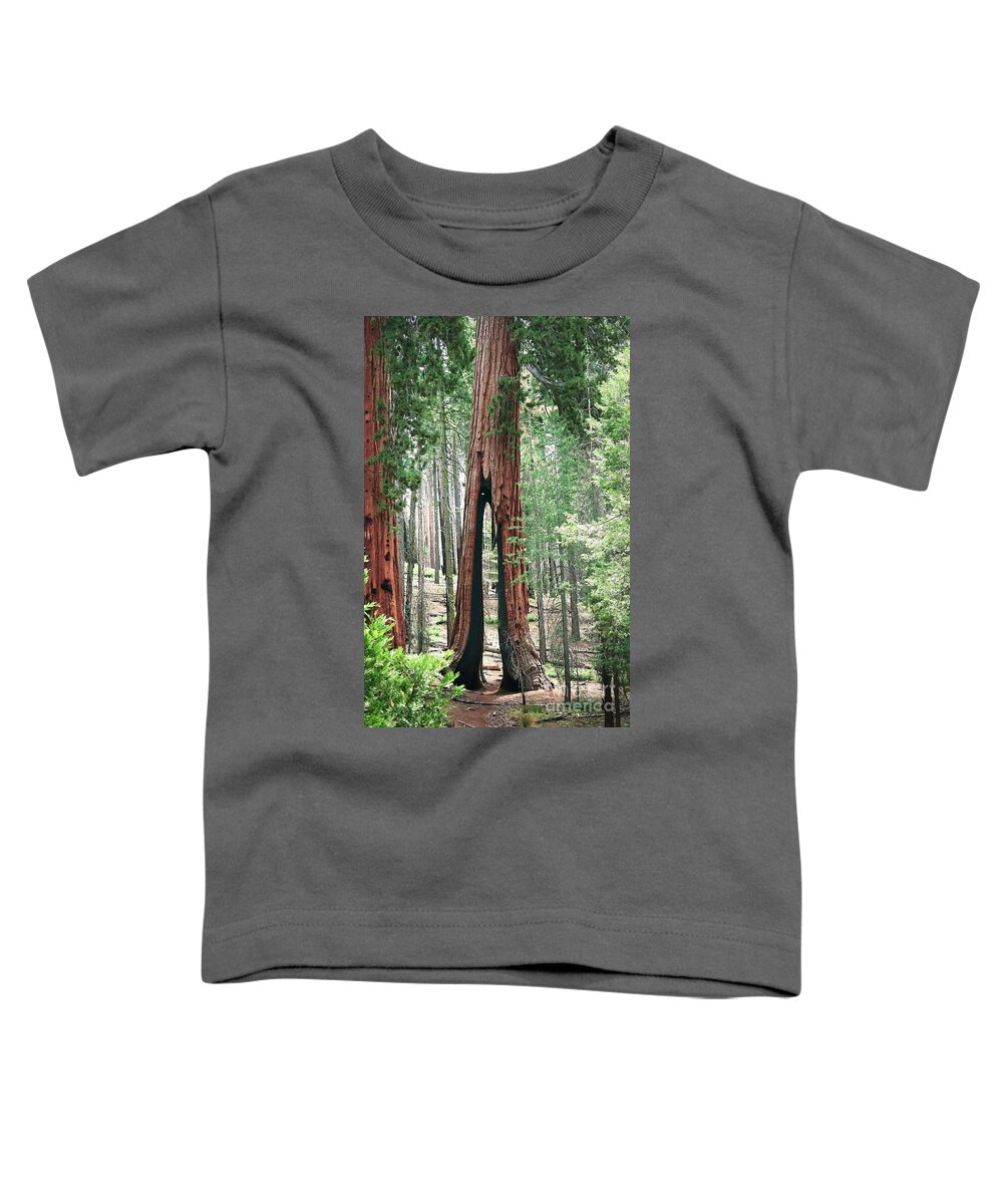 Yosemite Toddler T-Shirt featuring the photograph Survivor by Ellen Cotton