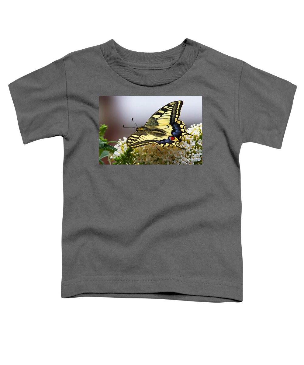 Swallowtail Toddler T-Shirt featuring the photograph Swallowtail butterfly by Nick Biemans