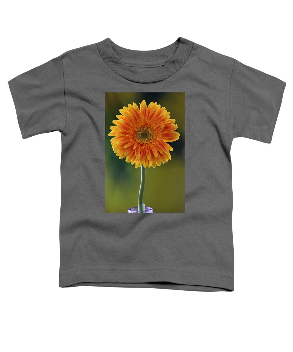 Daisy Toddler T-Shirt featuring the photograph Sweet Daisy of Mine by Juergen Roth