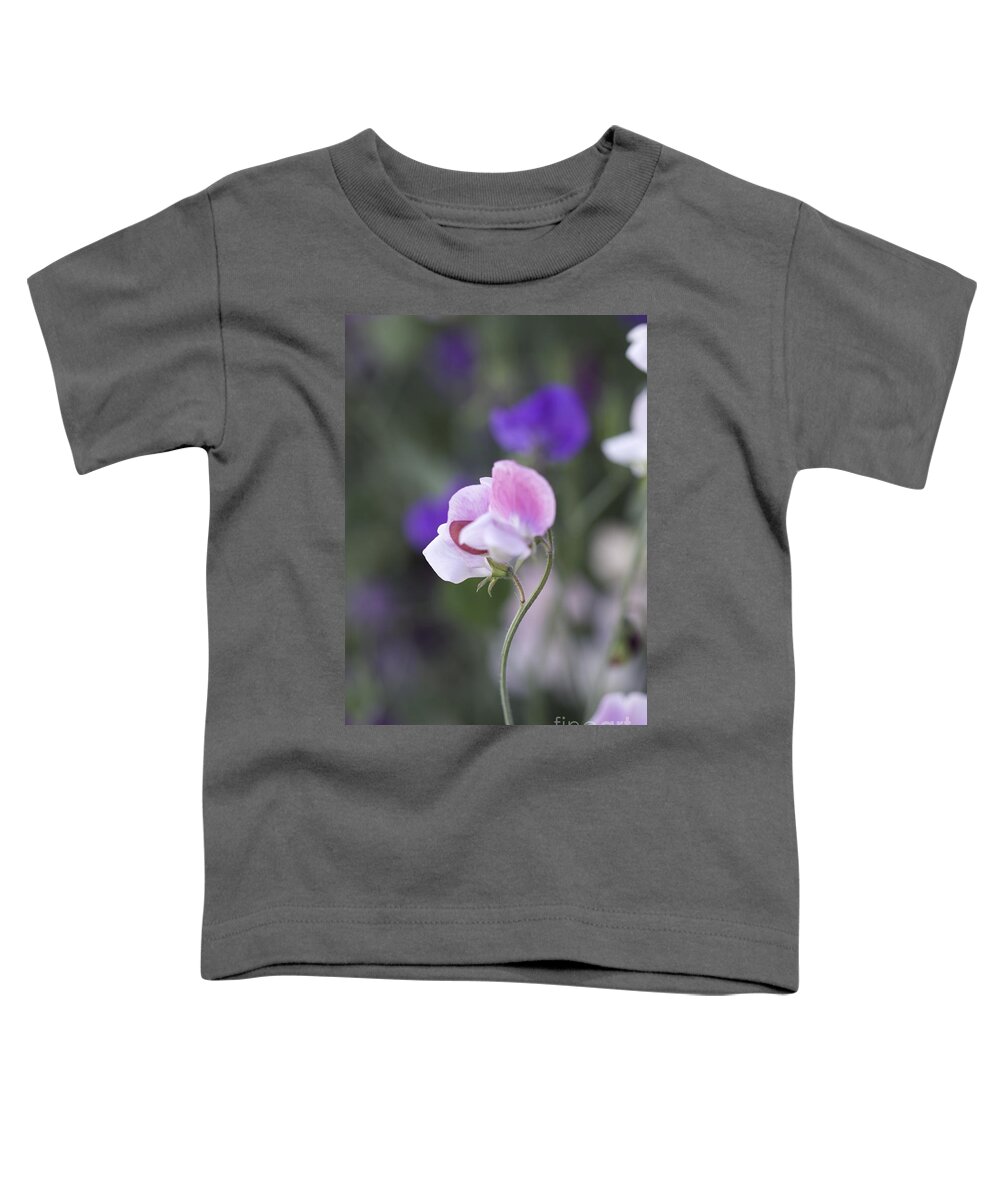 Pellirojos Writing Toddler T-Shirt featuring the photograph Sweet Pea Single by Donna L Munro