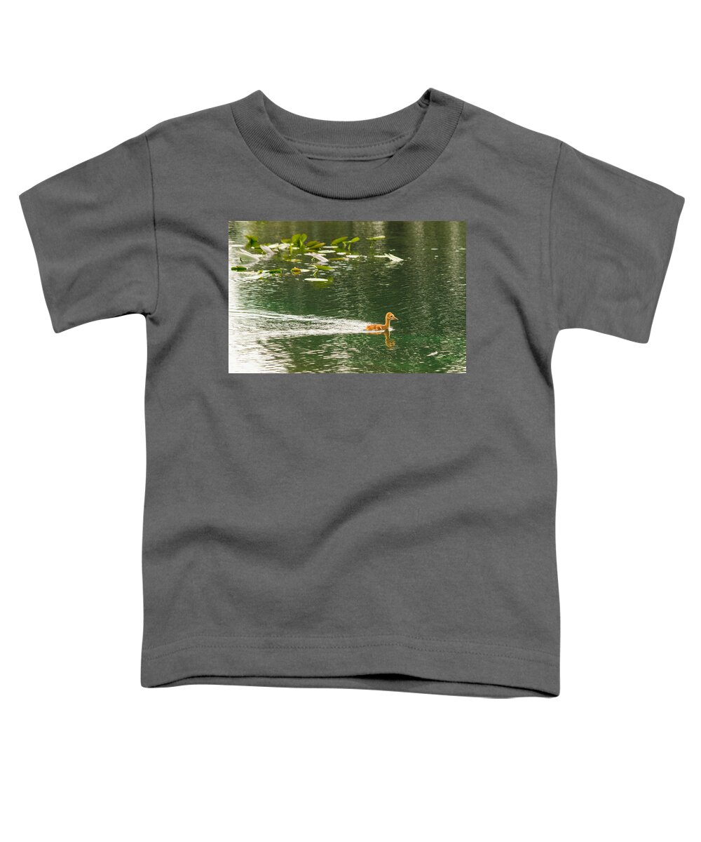 susan Molnar Toddler T-Shirt featuring the photograph Swimming Baby Sandhill by Susan Molnar
