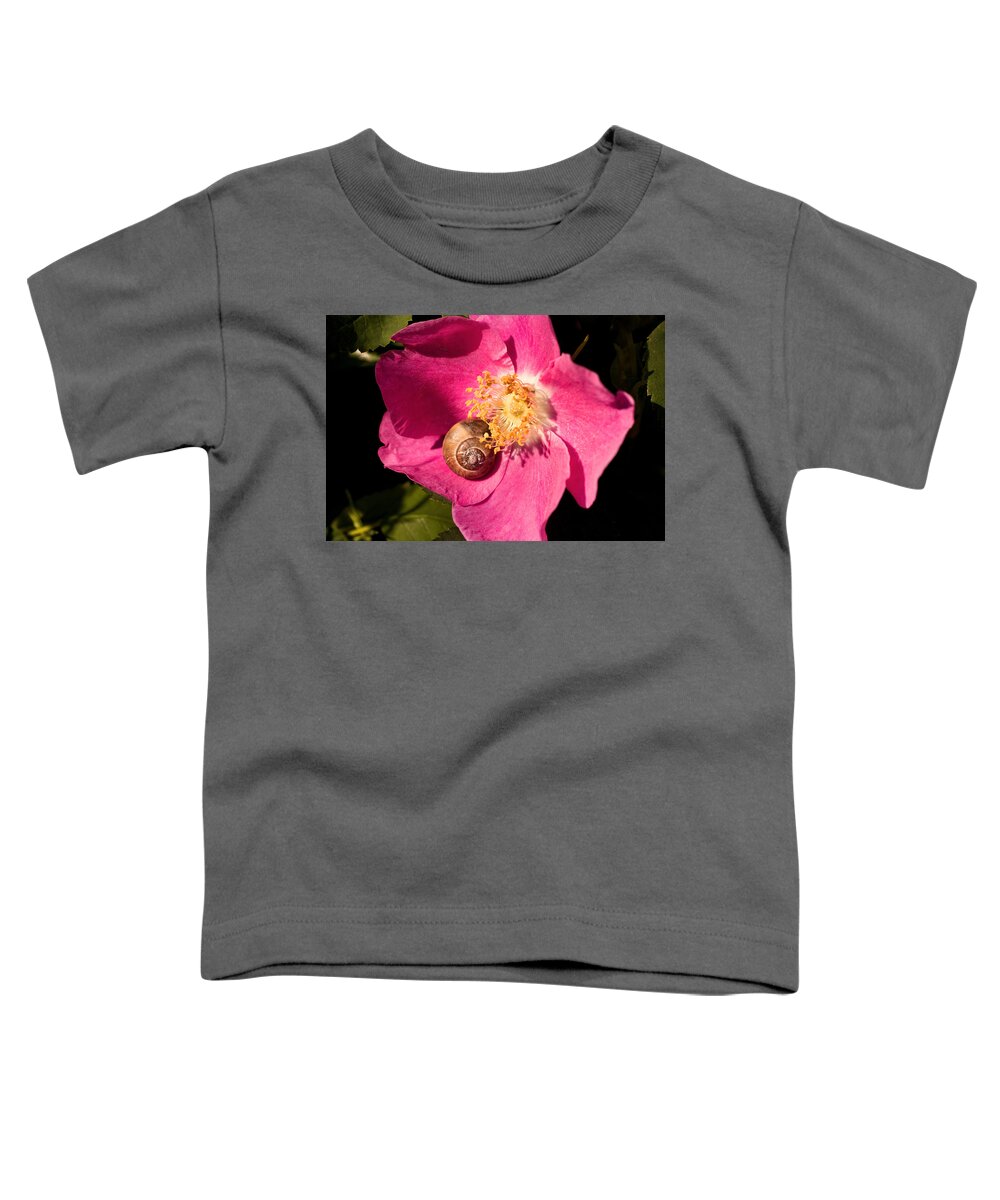 Snails Toddler T-Shirt featuring the photograph Take Time to Smell the Flowers by Peggy Collins