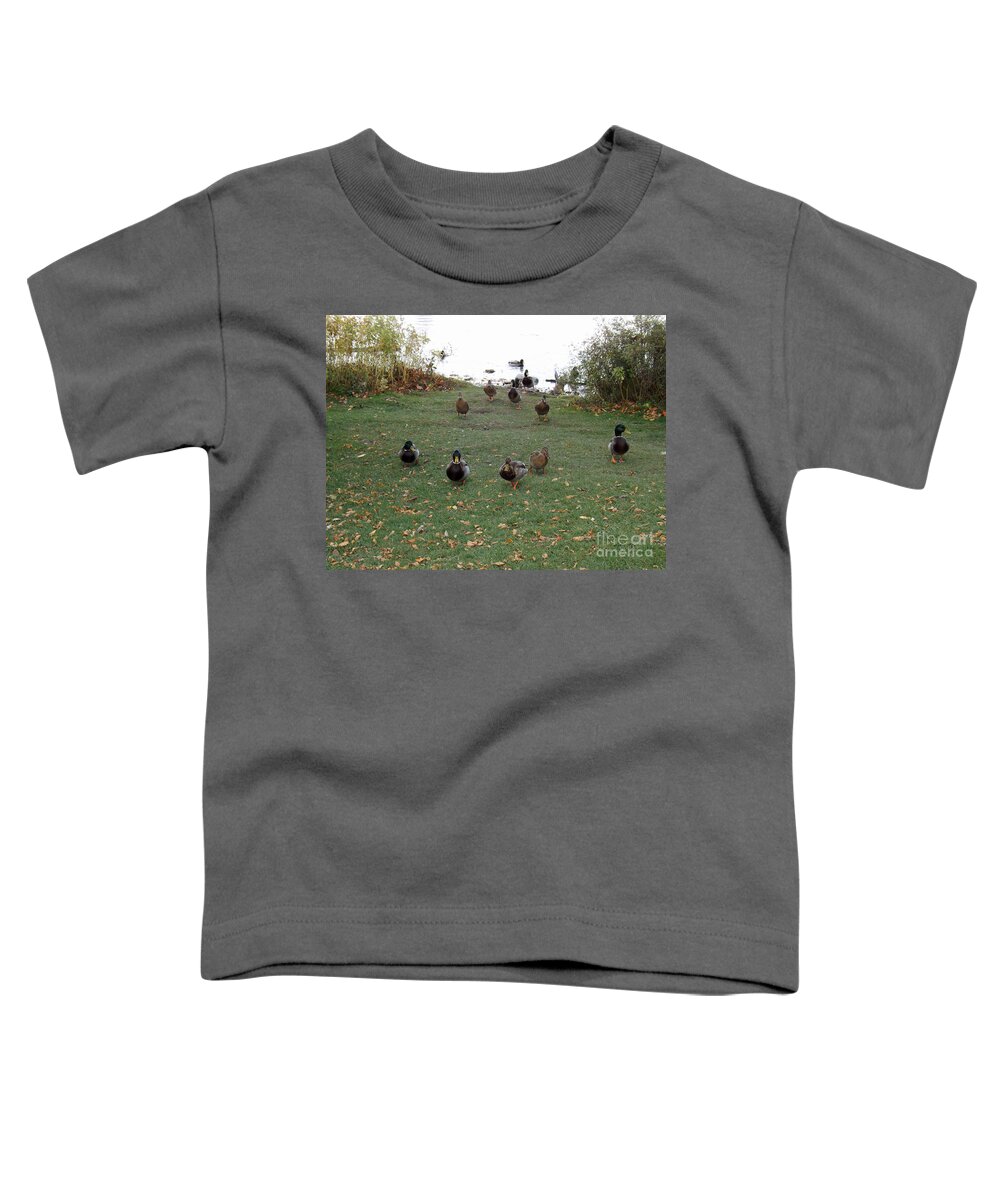 Duck Toddler T-Shirt featuring the photograph Take us to your leader by Brenda Brown