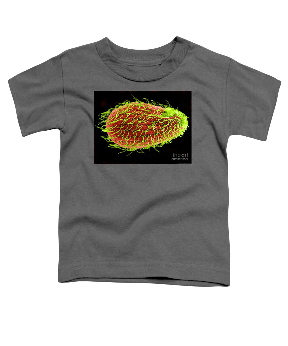 Tetrahymena Toddler T-Shirt featuring the photograph Tetrahymena thermophila Sem by Aaron J Bell