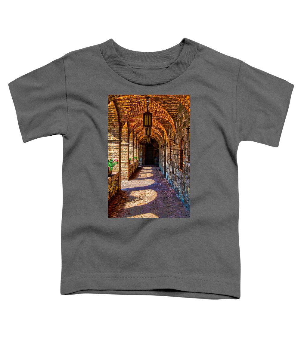 Arches Toddler T-Shirt featuring the photograph The Arches by Richard J Cassato