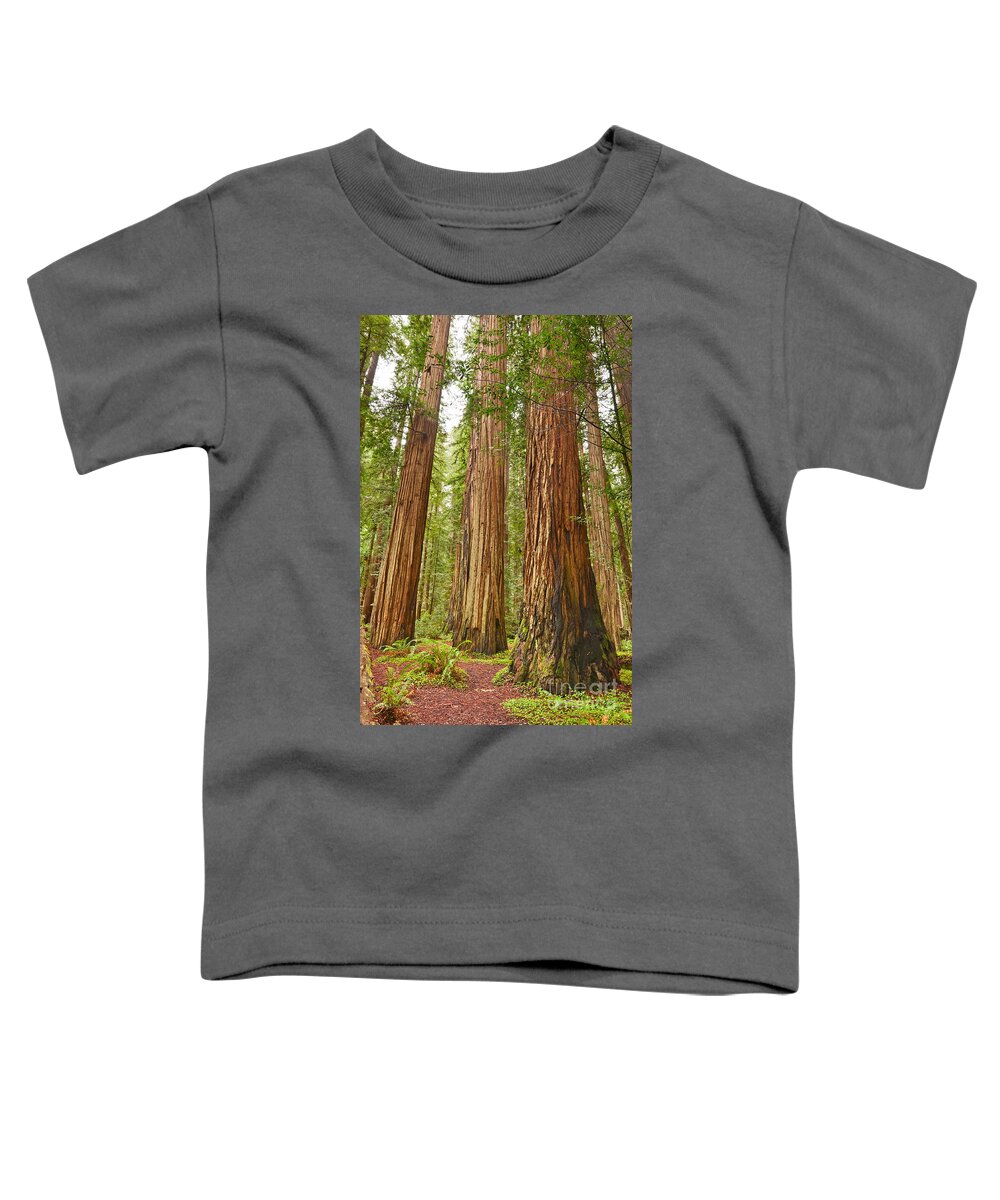 Redwoods Toddler T-Shirt featuring the photograph The beautiful and massive giant redwoods Sequoia sempervirens in Redwood National Park. by Jamie Pham