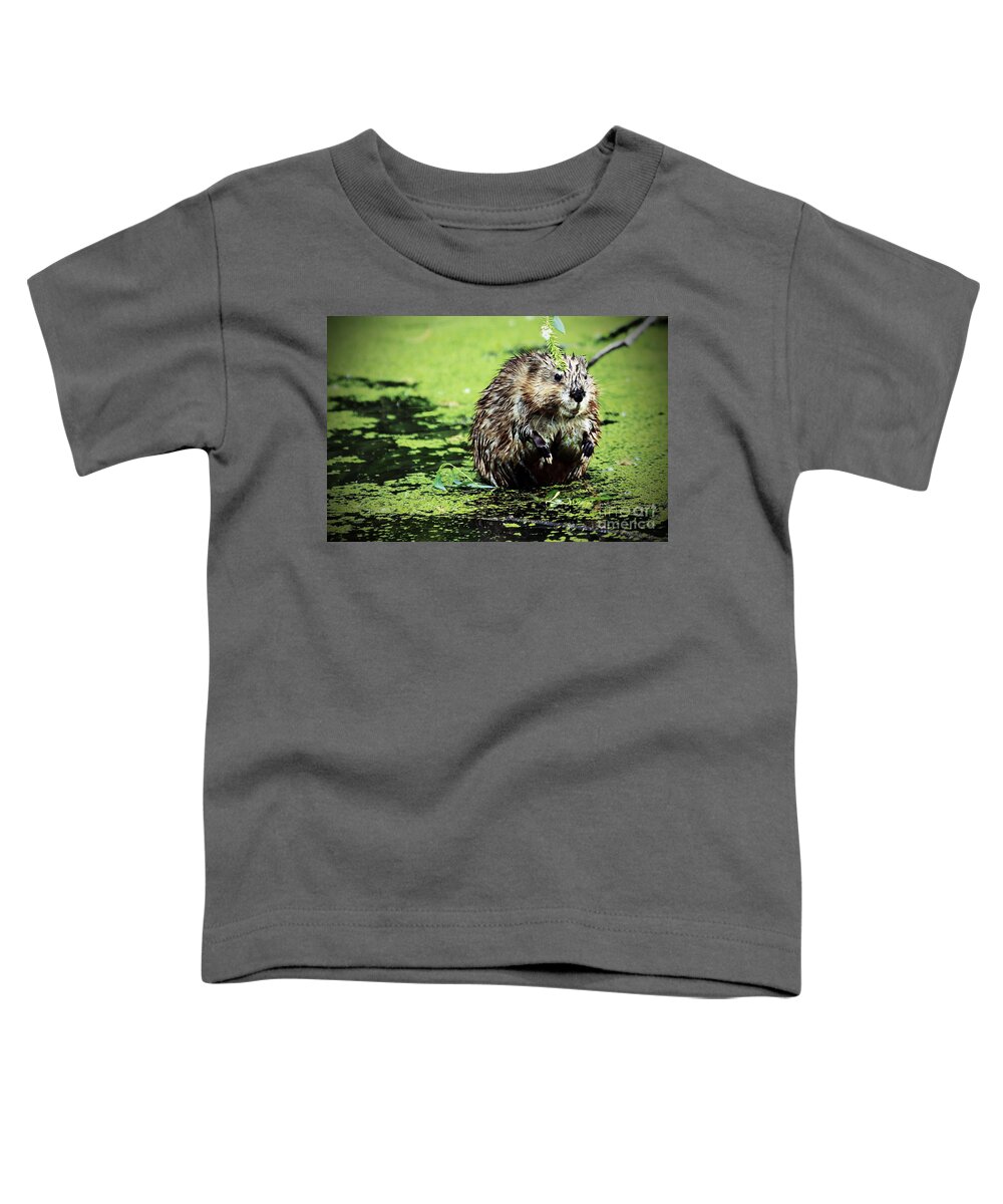 Beaver Toddler T-Shirt featuring the photograph The beaver with the attitude by Elizabeth Winter